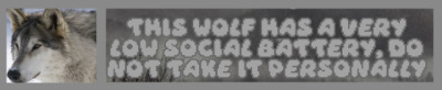 Credit: Saikiboxes on Tumblr. Text: "THIS WOLF HAS A VERY LOW SOCIAL BATTERY, DO NOT TAKE IT PERSONALLY"